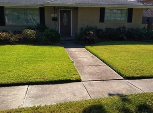 1 New Orleans La Lawn Care Service Lawn Mowing From 19 Best 2020
