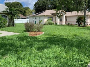New Port Richey Fl Lawn Care Service Lawn Mowing From 19 Rated Best 2020