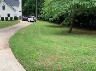 1 New Smyrna Beach Fl Lawn Care Service Lawn Mowing From 19 Best 2020
