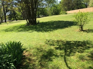 1 New Smyrna Beach Fl Lawn Care Service Lawn Mowing From 19 Best 2020