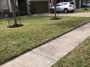 1 Newnan Ga Lawn Care Service Lawn Mowing From 19 Best 2020