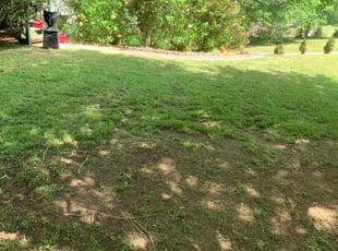1 Newnan Ga Lawn Care Service Lawn Mowing From 19 Best 2020