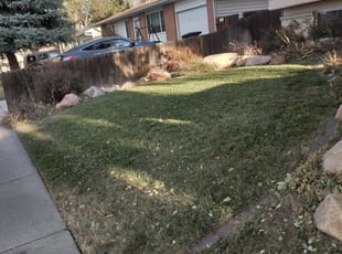 #1 Noblesville, IN Lawn Care Service | Lawn Mowing from ...