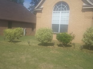 Nolensville Tn Lawn Care Service Lawn Mowing From 19 Lawnstarter