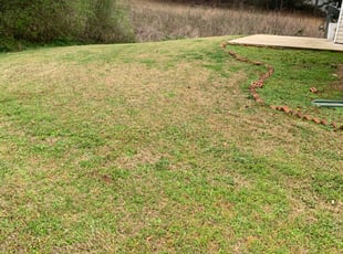 1 Norcross Ga Lawn Care Service Lawn Mowing From 19 Best 2020