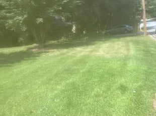 1 Norcross Ga Lawn Care Service Lawn Mowing From 19 Best 2020