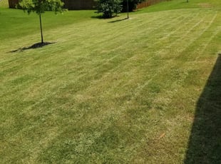 1 Norcross Ga Lawn Care Service Lawn Mowing From 19 Best 2020