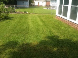 Norfolk Va Lawn Care Service Lawn Mowing From 19 Lawnstarter
