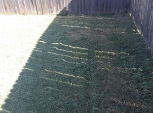 1 Norman Ok Lawn Care Service Lawn Mowing From 19 Best 2020