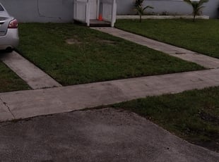 North Miami Beach Fl Lawn Care Service Lawn Mowing From 19 Rated Best 2020