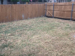 1 North Myrtle Beach Sc Lawn Care Service Lawn Mowing From 19 Best 2020