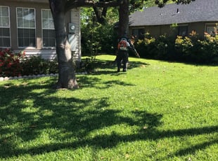 15 Best Lawn Care Services In North Wales Pa 2020 Lawnstarter