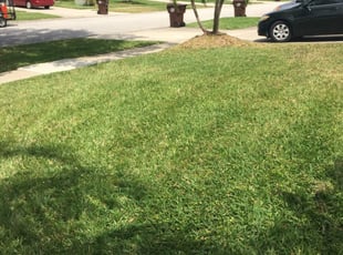 1 Novi Mi Lawn Care Service Lawn Mowing From 19 Best 2020