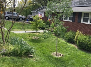 Nutley, NJ Landscaping from $29 | #1 Landscapers | Best of ...
