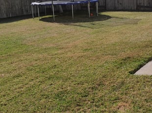 O Fallon Mo Lawn Care Service Lawn Mowing From 19 Rated Best 2020