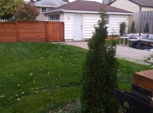 1 Oak Cliff Tx Lawn Care Service Lawn Mowing From 19 Best 2020