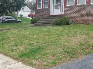 Oak Lawn Il Lawn Care Service Lawn Mowing From 19 Rated Best 2020