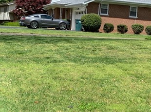 Oak Lawn Il Lawn Care Service Lawn Mowing From 19 Rated Best 2020