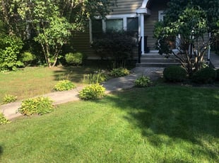 1 Oak Park Il Lawn Care Service Lawn Mowing From 19 Best 2020