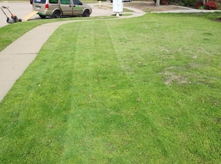 1 Oak Park Il Lawn Care Service Lawn Mowing From 19 Best 2020