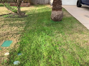 #1 Oak Ridge, TN Lawn Care Service | Lawn Mowing from $19 | Best 2020