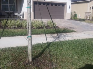 1 Ocoee Fl Lawn Care Service Lawn Mowing From 19 Best 2020