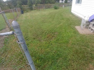 1 Odessa Fl Lawn Care Service Lawn Mowing From 19 Best 2020