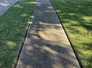 1 Odessa Fl Lawn Care Service Lawn Mowing From 19 Best 2020