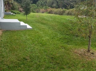 1 Odessa Fl Lawn Care Service Lawn Mowing From 19 Best 2020