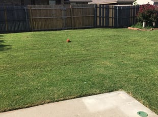 Oklahoma City Ok Lawn Care Lawn Mowing From 19 Lawnstarter