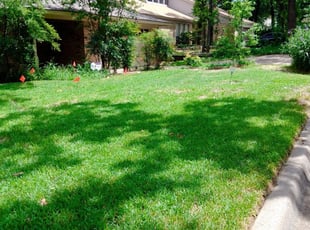 1 Olathe Ks Lawn Care Service Lawn Mowing From 19 Best 2020