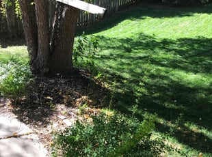 Lawn Mowing Services In Omaha Ne / Omaha, NE Lawn Care Service | Lawn Mowing from $19 ... / If there is a service you do not see, please inquire.