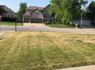 Best Lawn Care Service In Omaha : The 4 Best Lawn Care Services in the Lansdale ... : Harper lawn care is a veteran owned and family run business based in omaha, nebraska.