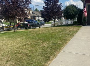 Omaha Ne Lawn Care Service Lawn Mowing From 19 Lawnstarter