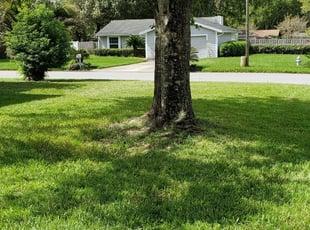 1 Orange Park Fl Lawn Care Service Lawn Mowing From 19 Best 2020