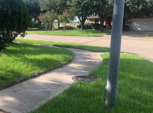 1 Orange Park Fl Lawn Care Service Lawn Mowing From 19 Best 2020