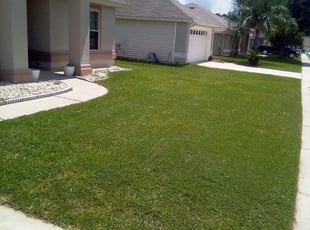 1 Orange Park Fl Lawn Care Service Lawn Mowing From 19 Best 2020