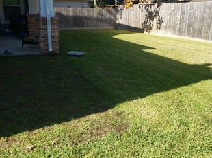 Orland Park Il Lawn Care Service Lawn Mowing From 19 Rated Best 2020