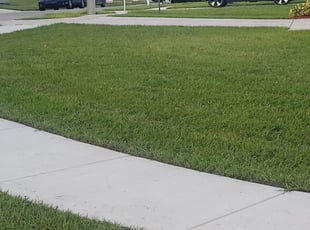 Oswego Il Lawn Care Service Lawn Mowing From 19 Rated Best 2020