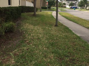 Oviedo Fl Landscaping From 29 1 Landscapers Best Of 2020