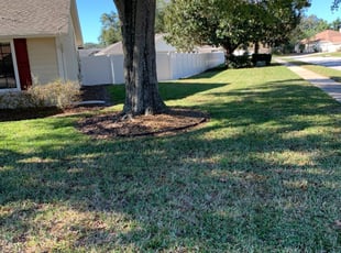 Palm Bay Fl Lawn Care Service Lawn Mowing From 19 Lawnstarter