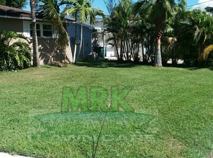 #1 Palm Harbor, FL Lawn Care Service | Lawn Mowing from ...