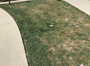 1 Palo Alto Ca Lawn Care Service Lawn Mowing From 19 Best 2020