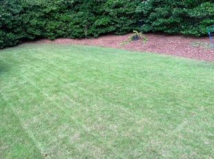 Parker Co Lawn Care Service Lawn Mowing From 19 Rated Best 2020