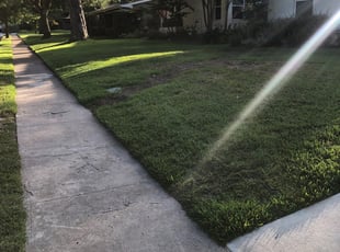 1 Parkville Md Lawn Care Service Lawn Mowing From 19 Best 2020