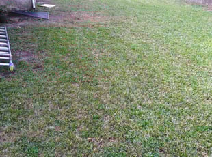 Pasadena, TX Lawn Care Service | Lawn Mowing from $19 ...