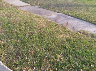 1 Pasadena Tx Lawn Care Service Lawn Mowing From 19 Best 2020