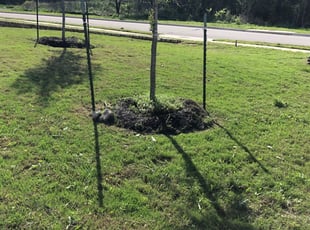 #1 Pasco County, FL Lawn Care Service | Lawn Mowing from $19 | Best 2020