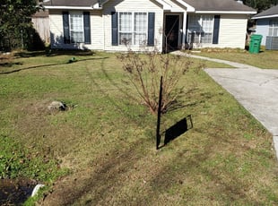 Pataskala Oh Lawn Care Service Lawn Mowing From 19 Lawnstarter