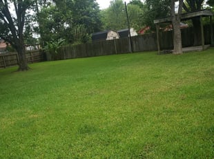 Pearland Tx Lawn Care Service Lawn Mowing From 19 Lawnstarter